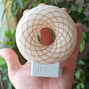 S IDEA Torus Coil 4